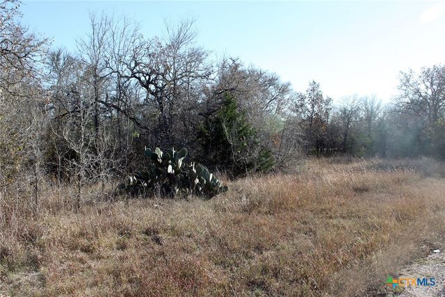 100 Track Road, Dale, TX 78616