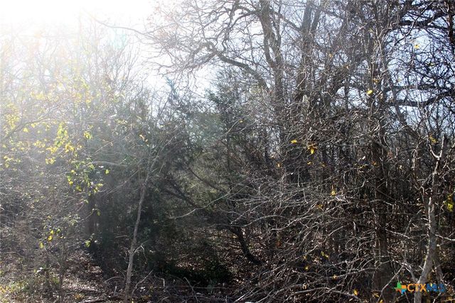 100 Track Road, Dale, TX 78616