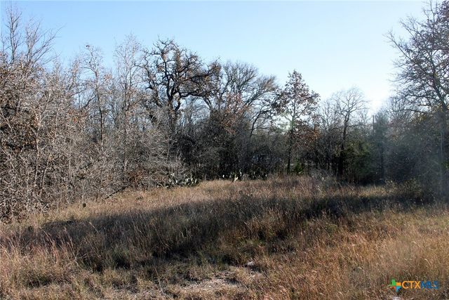 100 Track Road, Dale, TX 78616