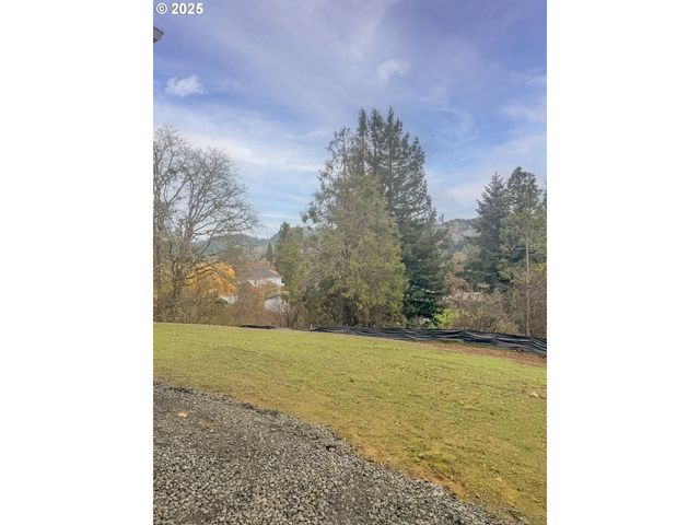 252 Ne THIRD St, Oakland, OR 97462