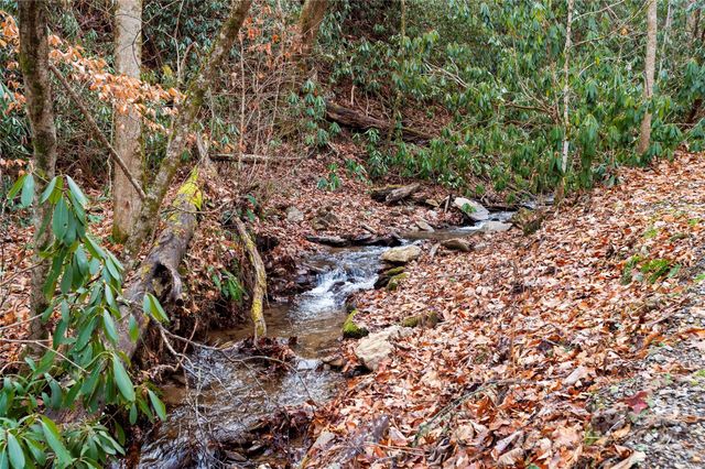 137 Echo Ridge, Maggie Valley, NC 28751