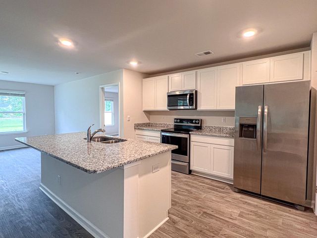 248 Country Grove Way, Galivants Ferry, SC 29544