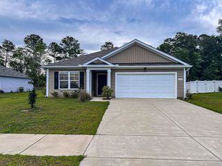 248 Country Grove Way, Galivants Ferry, SC 29544
