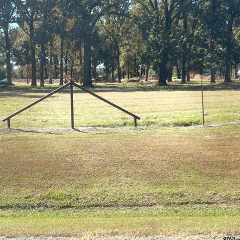 5047 N FM 17, Alba, TX 75410