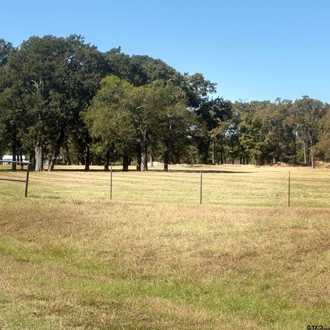 5047 N FM 17, Alba, TX 75410
