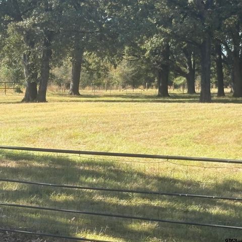 5047 N FM 17, Alba, TX 75410