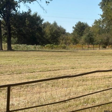 5047 N FM 17, Alba, TX 75410