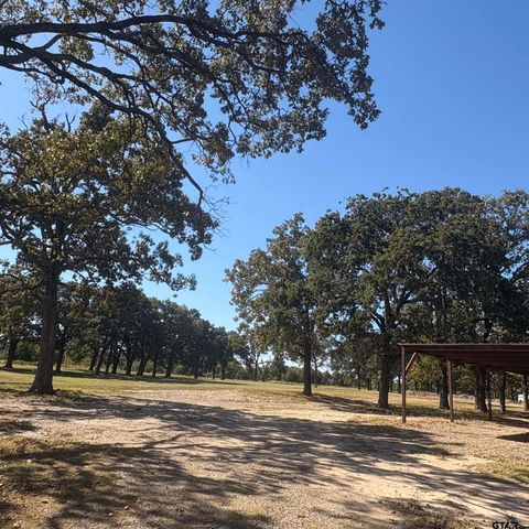 5047 N FM 17, Alba, TX 75410
