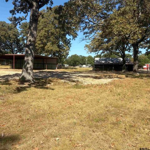 5047 N FM 17, Alba, TX 75410