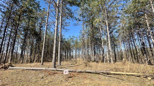 173 Center Ridge Dr, Hohenwald, TN 38462