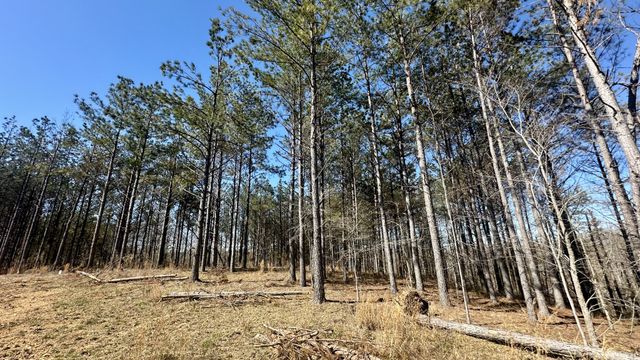173 Center Ridge Dr, Hohenwald, TN 38462