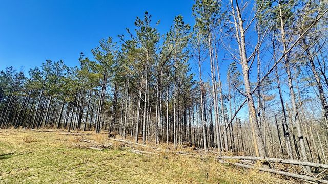 173 Center Ridge Dr, Hohenwald, TN 38462