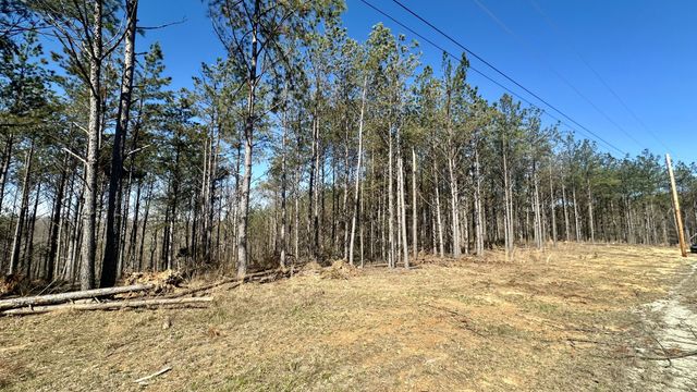 173 Center Ridge Dr, Hohenwald, TN 38462