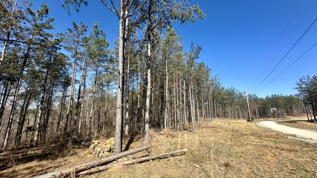 173 Center Ridge Dr, Hohenwald, TN 38462