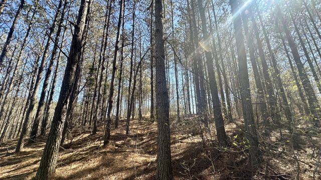173 Center Ridge Dr, Hohenwald, TN 38462