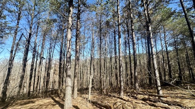 173 Center Ridge Dr, Hohenwald, TN 38462