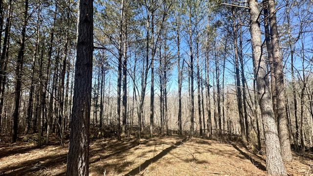 173 Center Ridge Dr, Hohenwald, TN 38462