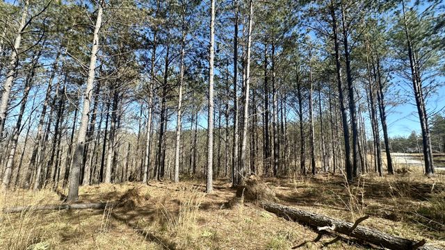 173 Center Ridge Dr, Hohenwald, TN 38462