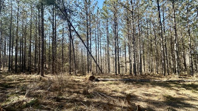 173 Center Ridge Dr, Hohenwald, TN 38462