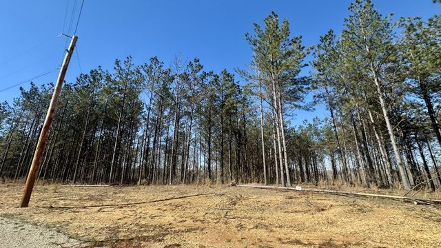 173 Center Ridge Dr, Hohenwald, TN 38462