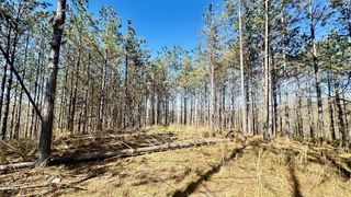 173 Center Ridge Dr, Hohenwald, TN 38462