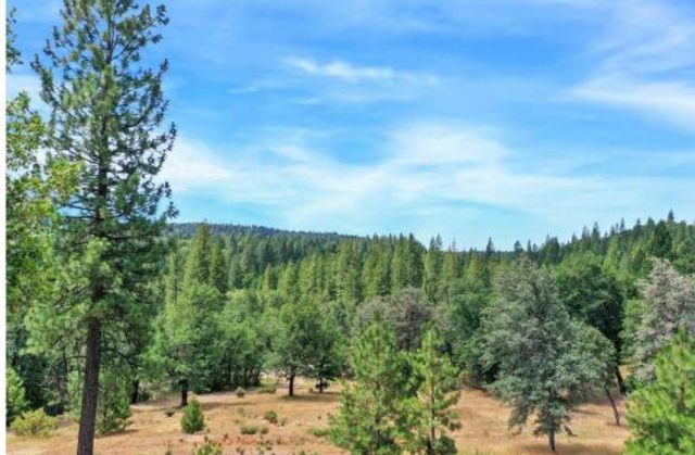 17008 Bloomfield Ridge Pl, Nevada City, CA 95959