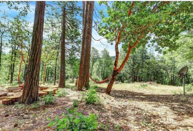 17008 Bloomfield Ridge Pl, Nevada City, CA 95959