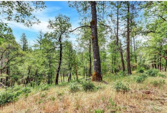 17008 Bloomfield Ridge Pl, Nevada City, CA 95959