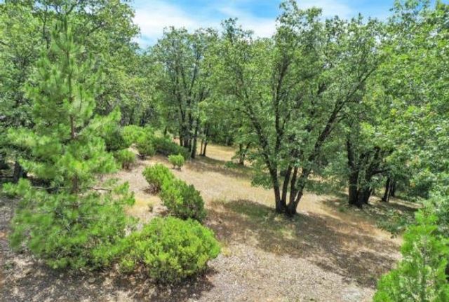 17008 Bloomfield Ridge Pl, Nevada City, CA 95959