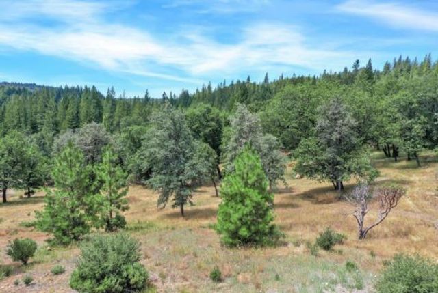 17008 Bloomfield Ridge Pl, Nevada City, CA 95959