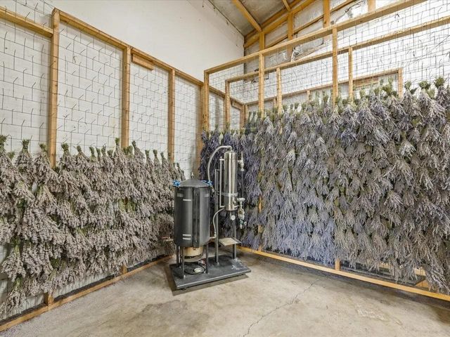 3669 G Road, Palisade, CO 81526