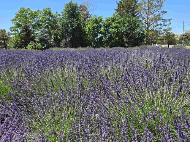 3669 G Road, Palisade, CO 81526