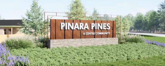 12143 Pinara Trail, Conroe, TX 77303