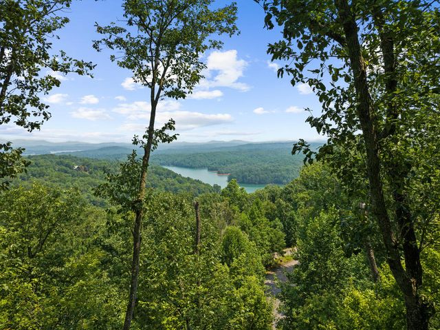 15 Paloma Drive, Blue Ridge, GA 30513