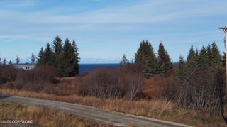71151 Katana Drive, Anchor Point, AK 99556