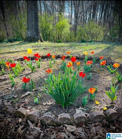 841 GRANT TOWN ROAD, Munford, AL 36268