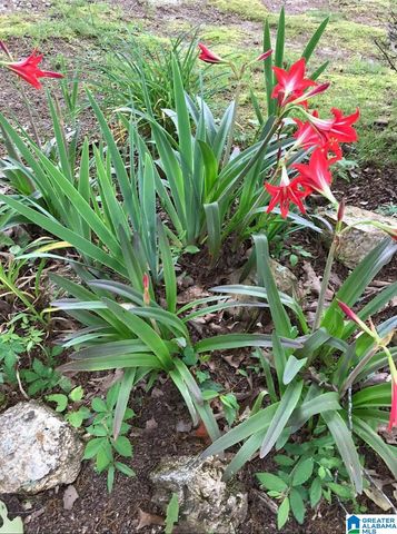 841 GRANT TOWN ROAD, Munford, AL 36268