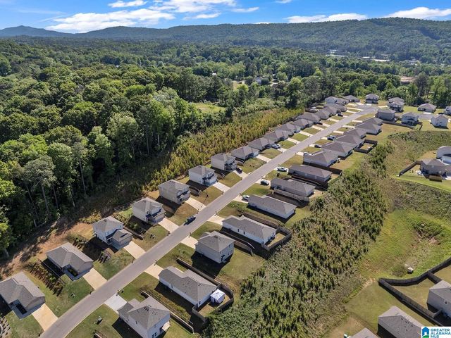 8661 MOHRING PLACE, Leeds, AL 35094