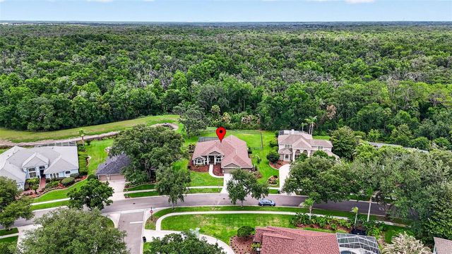 3904 S NINE DRIVE, Valrico, FL 33596
