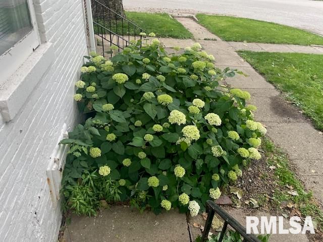 930 N 8TH Street, Springfield, IL 62702