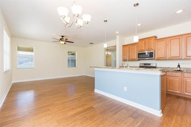 20101 OAKFLOWER AVENUE, Tampa, FL 33647