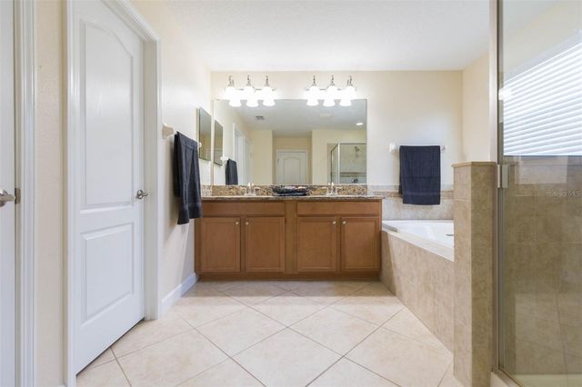 20101 OAKFLOWER AVENUE, Tampa, FL 33647