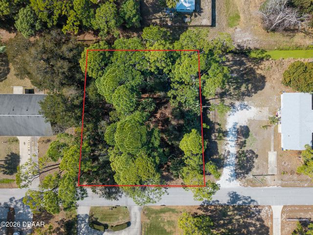 2904 India Palm Drive, Edgewater, FL 32141