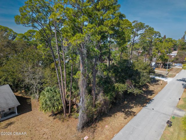 2904 India Palm Drive, Edgewater, FL 32141