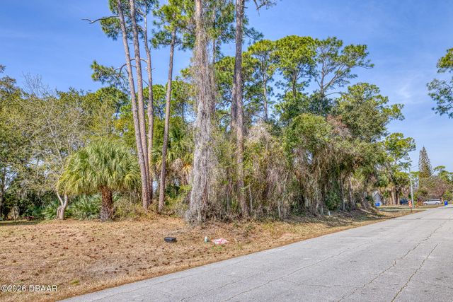 2904 India Palm Drive, Edgewater, FL 32141