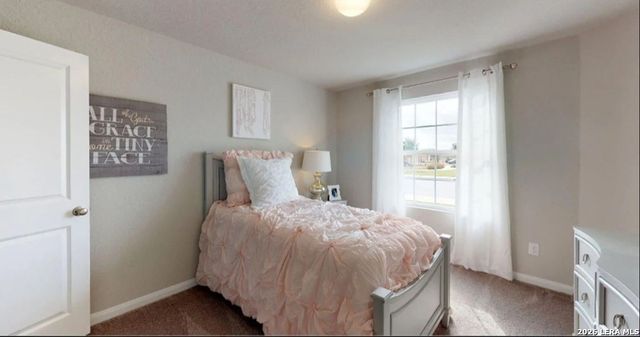 2810 Calandra Lark, New Braunfels, TX 78130