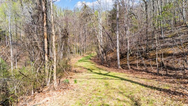 1374 Moccasin RD, Thaxton, VA 24174