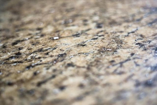 2600 SE 48TH AVENUE, Trenton, FL 32693