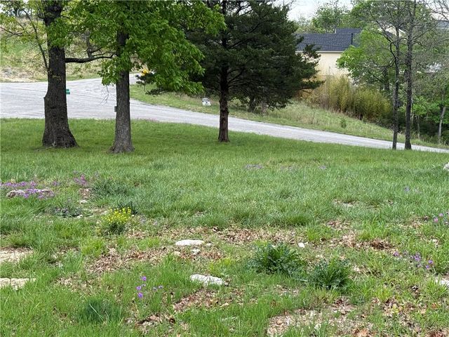 26 Rocky Top, Holiday Island, AR 72631