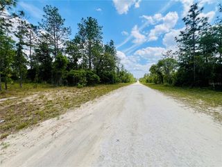 0000 NE 131 TERRACE TERRACE, Williston, FL 32696
